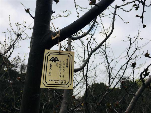 ΢ͼƬ_20190315174045.jpg