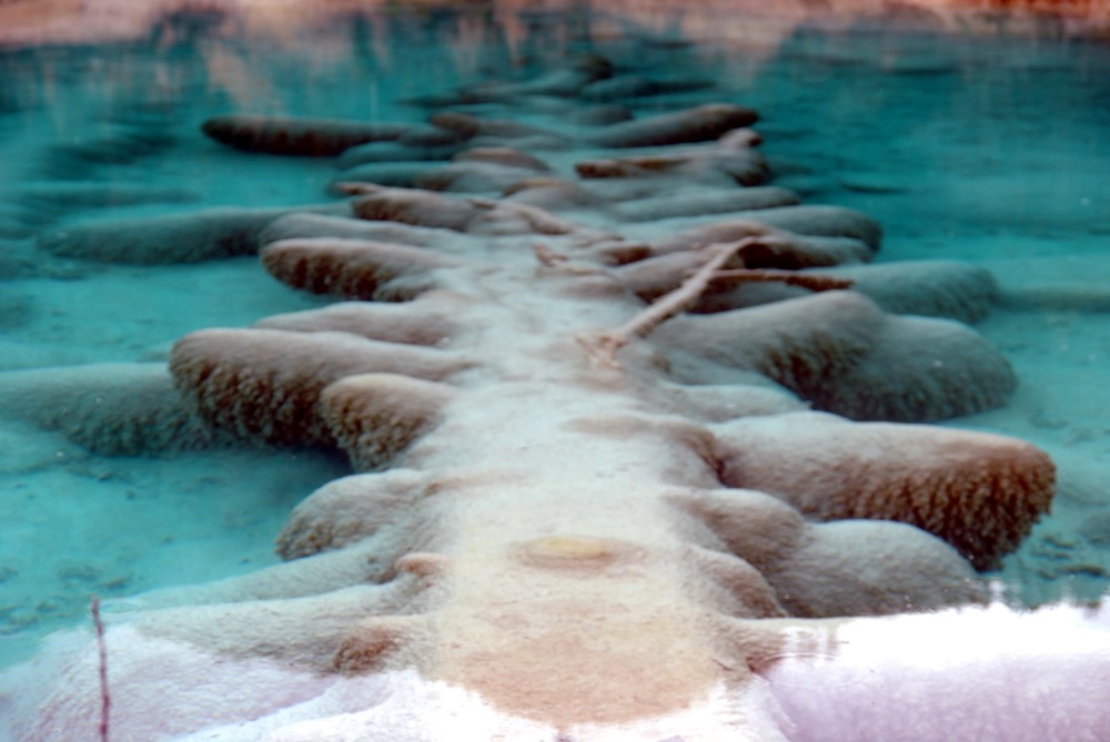 如图片无法显示,请刷新页面