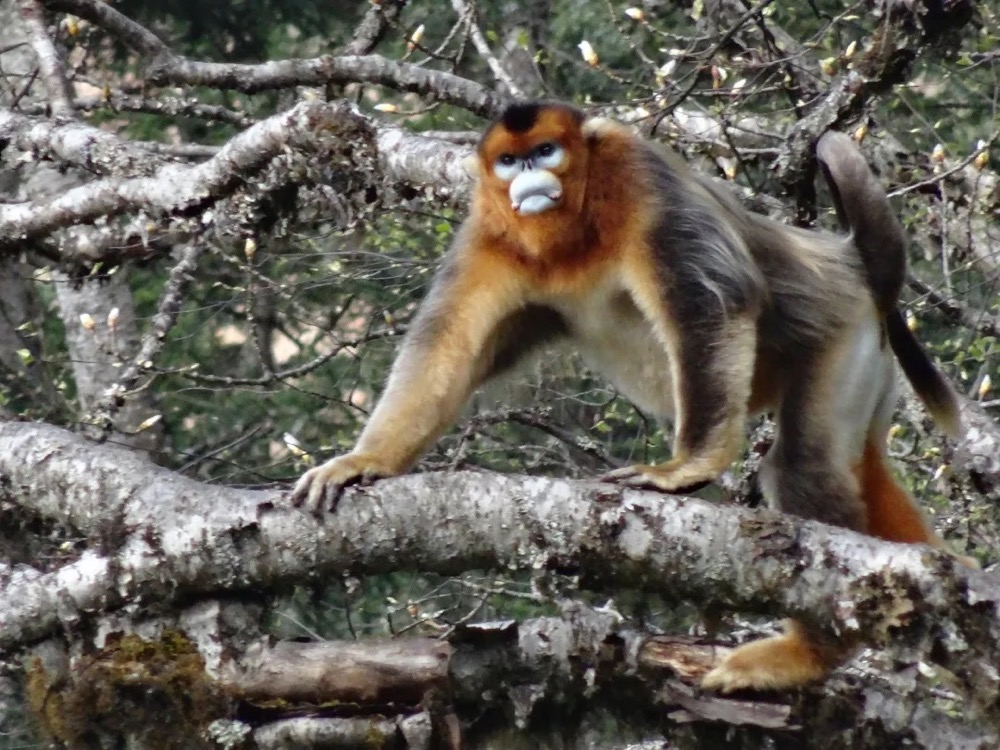 ��ͼƬ�޷���ʾ����ˢ��ҳ��