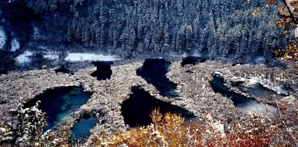 如图片无法显示,请刷新页面