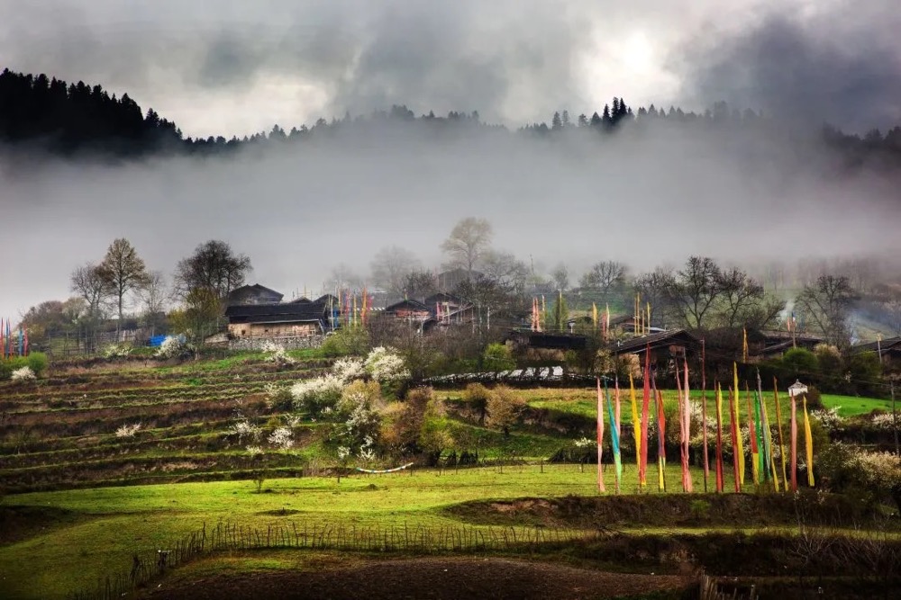 ��ͼƬ�޷���ʾ����ˢ��ҳ��