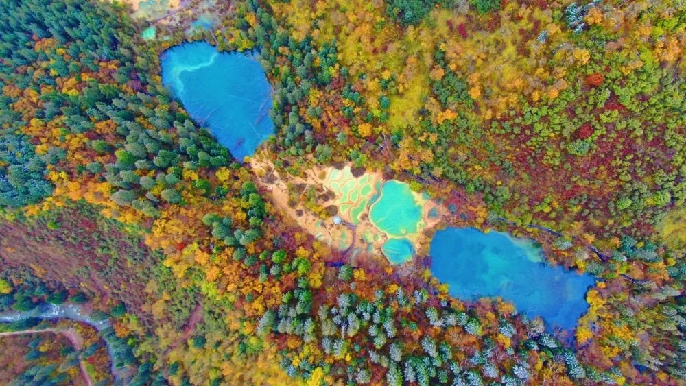 ��ͼƬ�޷���ʾ����ˢ��ҳ��