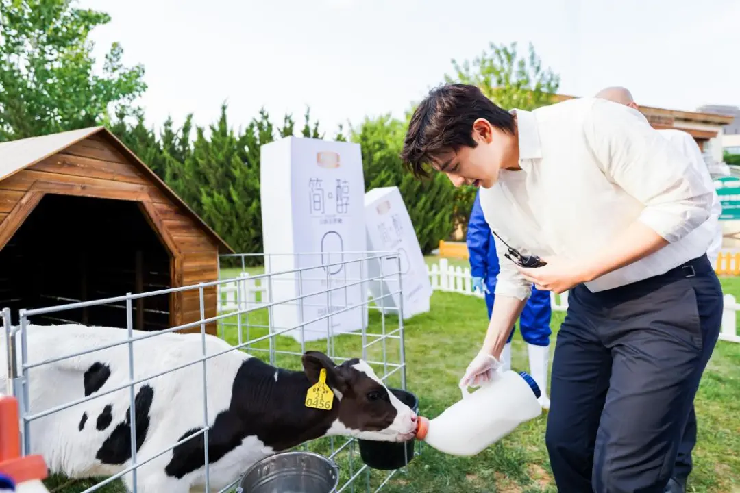 ��Ӯ������ս����0����������������