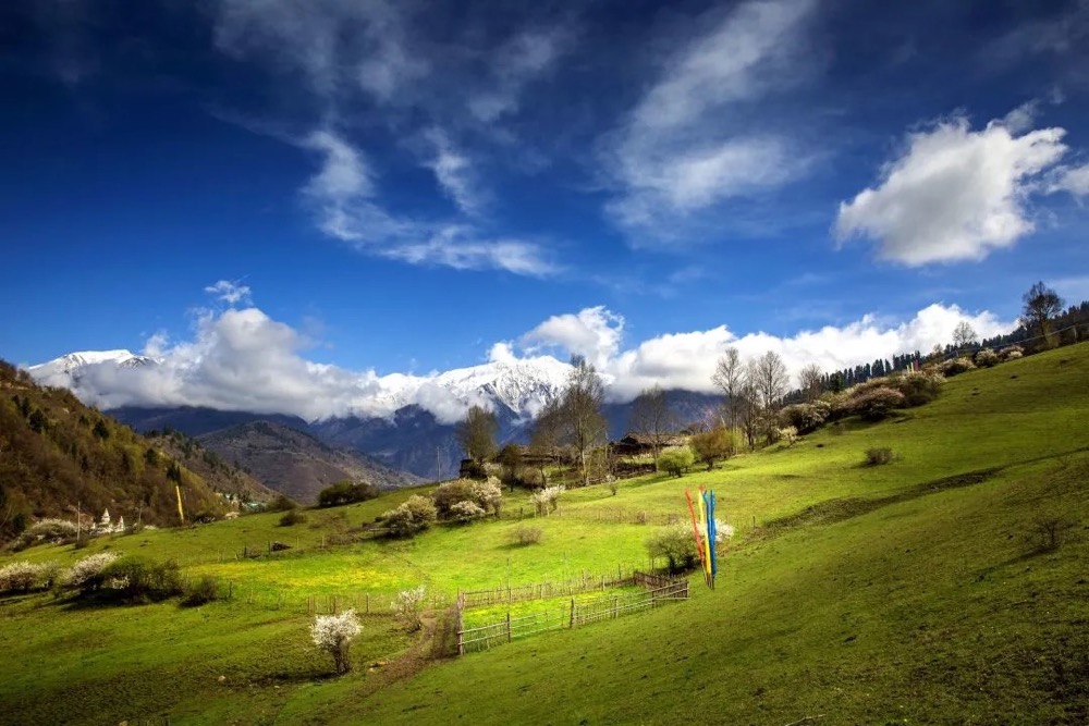 ��ͼƬ�޷���ʾ����ˢ��ҳ��