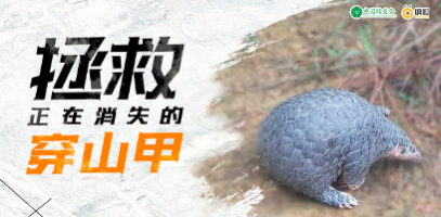 ͼƬ1.png