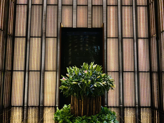 ϺƵ꣺ţ